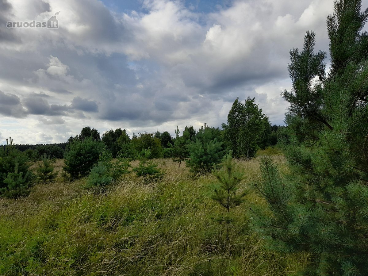 Parduodami du žemės ūkio paskirties sklypai - nuotraukos Nr. 2