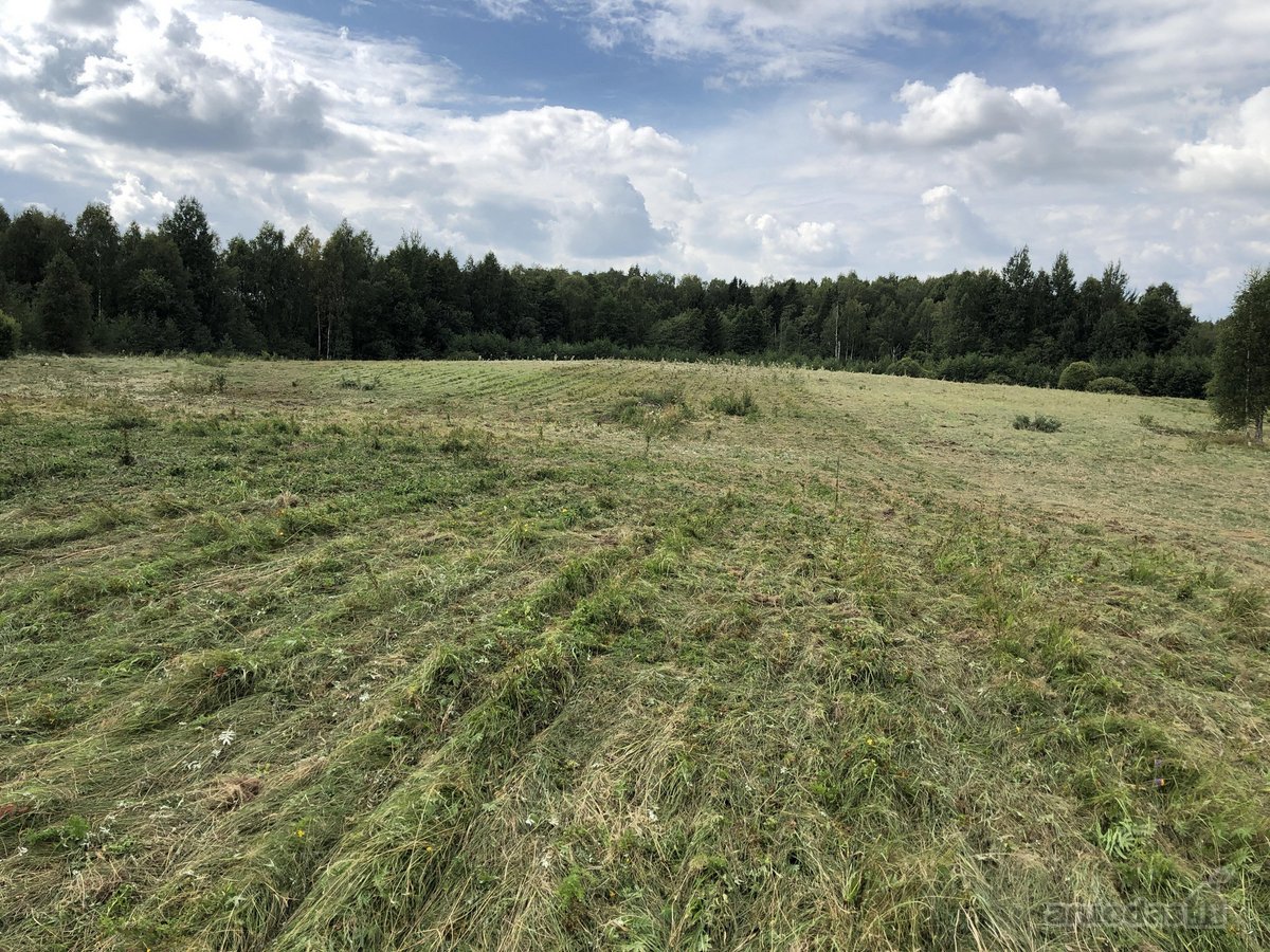 Parduodamas prižiūrėtas žemės ūkio paskirties - nuotraukos Nr. 4