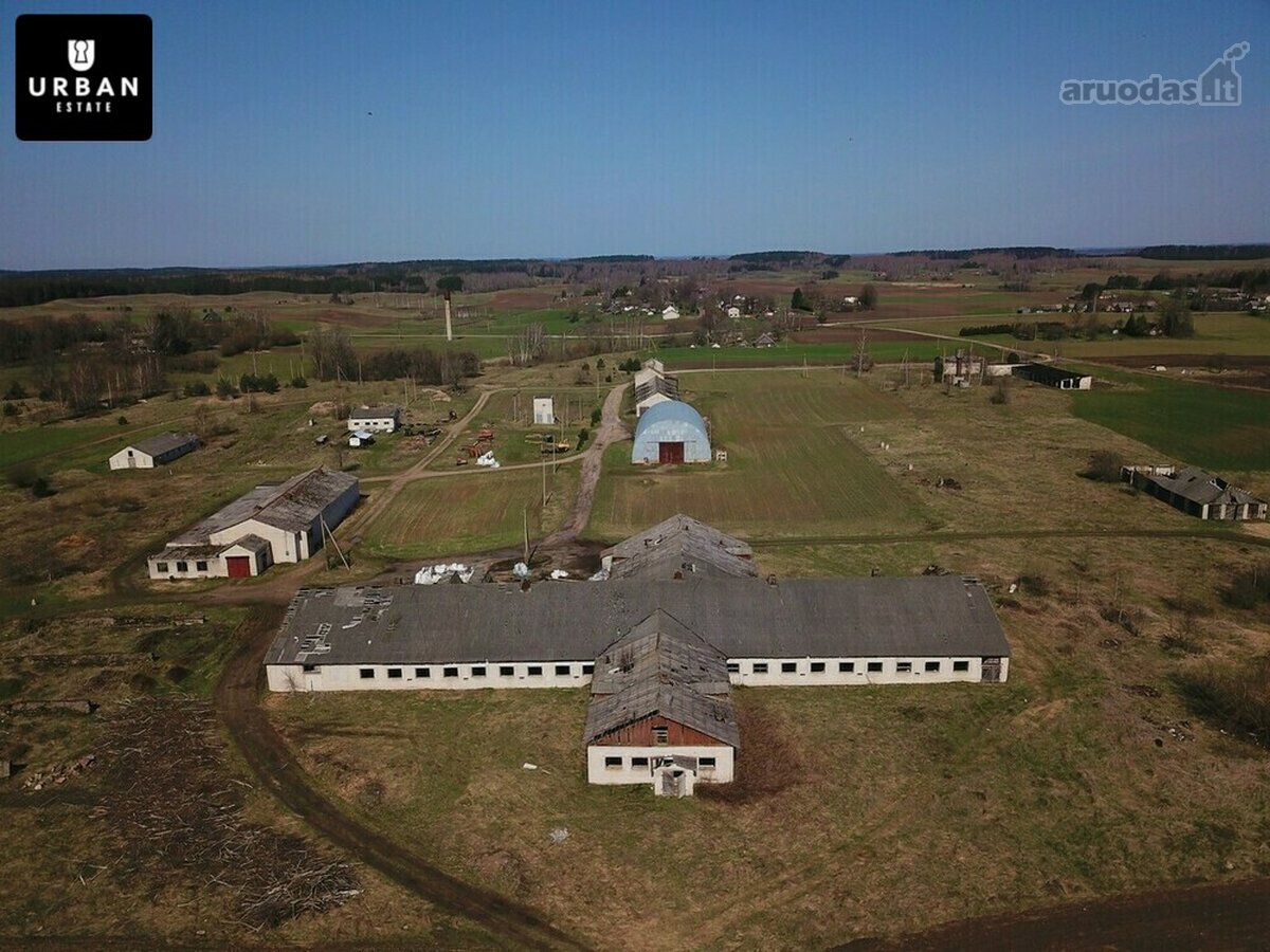 Parduodami iš viso keturi komercinės - nuotraukos Nr. 3