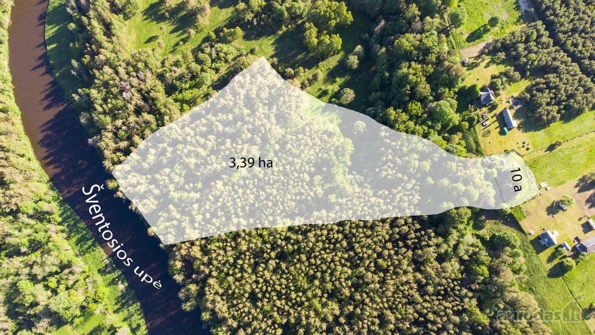 Išskirtinis sklypas Anykščių šilelyje - nuotraukos Nr. 2
