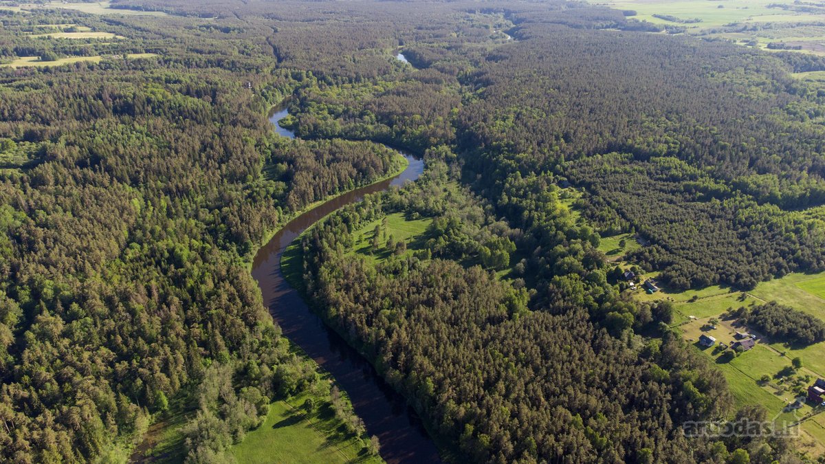 Išskirtinis sklypas Anykščių šilelyje - nuotraukos Nr. 3