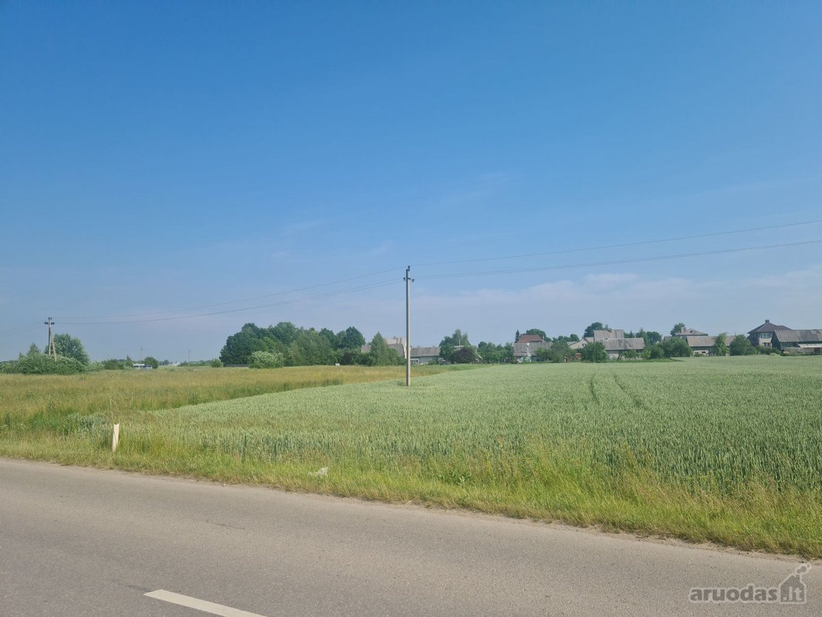Parduodamas 30 a. sklypas Kauno r., Naujųjų