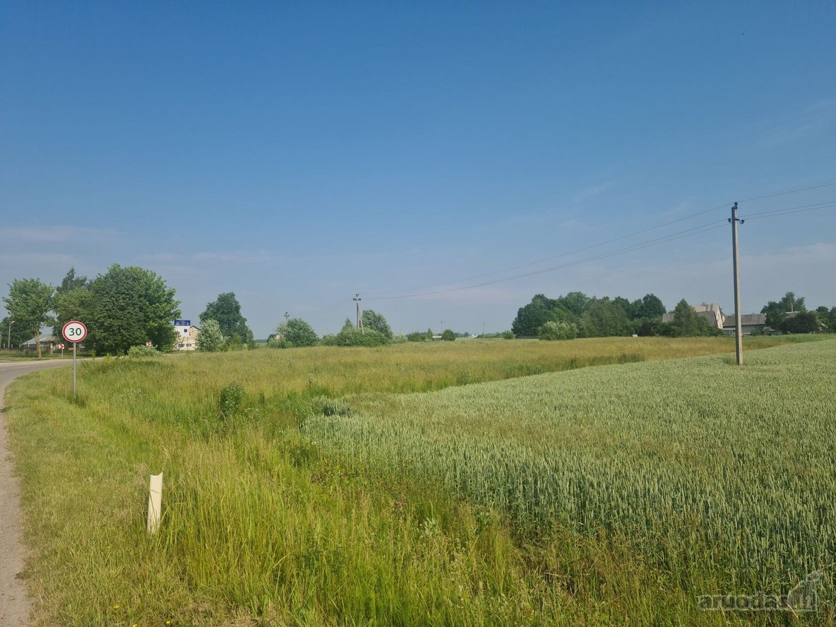 Parduodamas 30 a. sklypas Kauno r., Naujųjų - nuotraukos Nr. 6