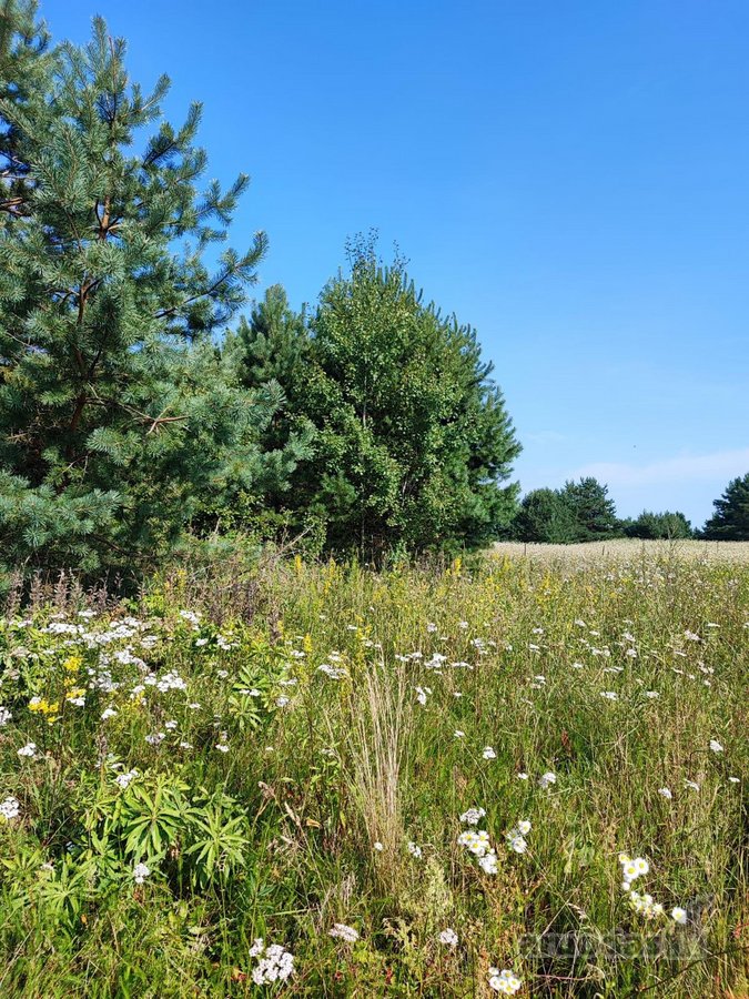Parduodamas 1,2079 ha žemės ūkio paskirties
