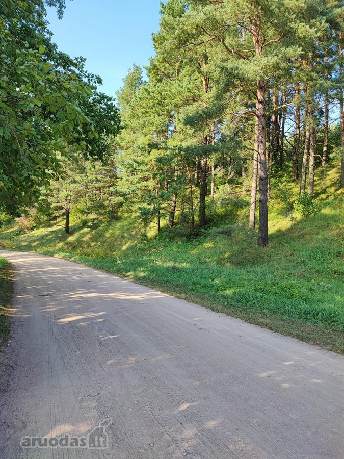 Parduodamas 1,2079 ha žemės ūkio paskirties - nuotraukos Nr. 3
