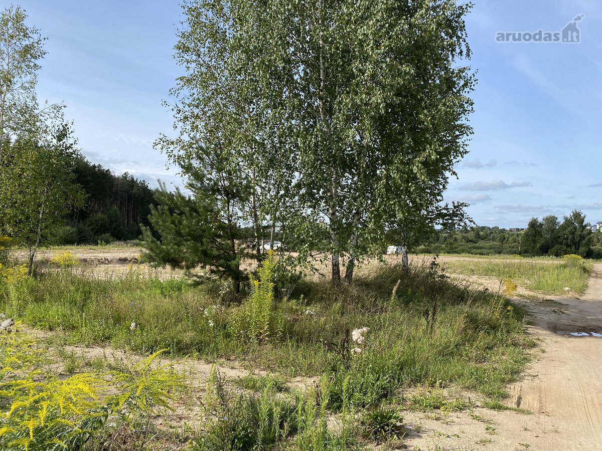 Vienbučių ir dvibučių gyvenamųjų namų - nuotraukos Nr. 11