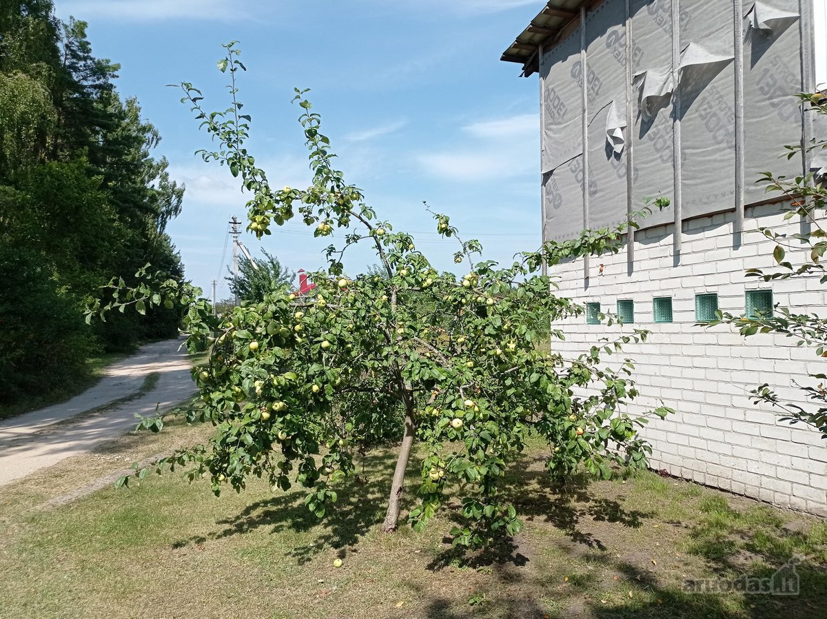 Jaukus sodo namas gamtos apsuptyje – vieta - nuotraukos Nr. 5