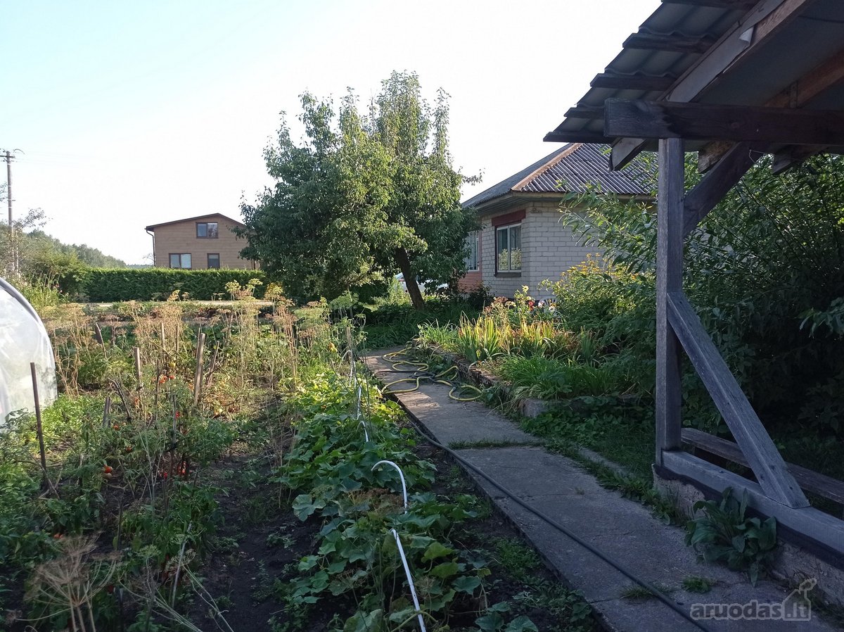Jaukus sodo namas gamtos apsuptyje – vieta - nuotraukos Nr. 10