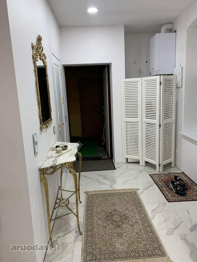 Centre dvieju kambarių butas su reguliuojamu - nuotraukos Nr. 9