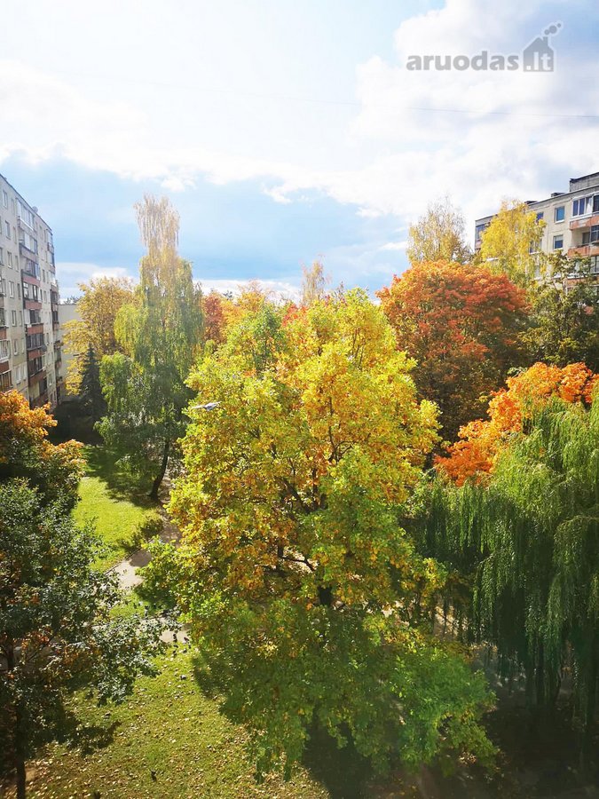 Nuomojamas Tvarkingas, Jaukus 3 Kambarių - nuotraukos Nr. 13