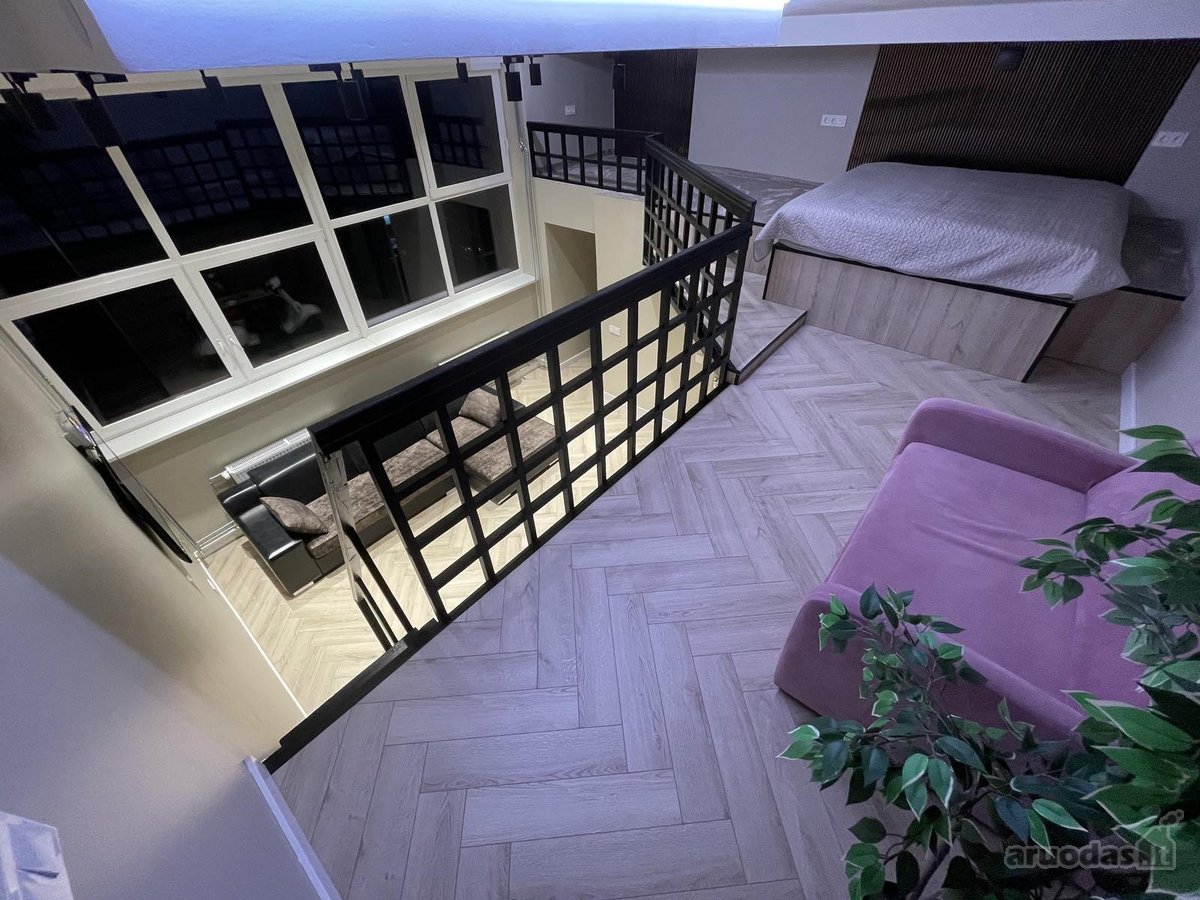 Centre prie Danės upės loftas! - nuotraukos Nr. 12