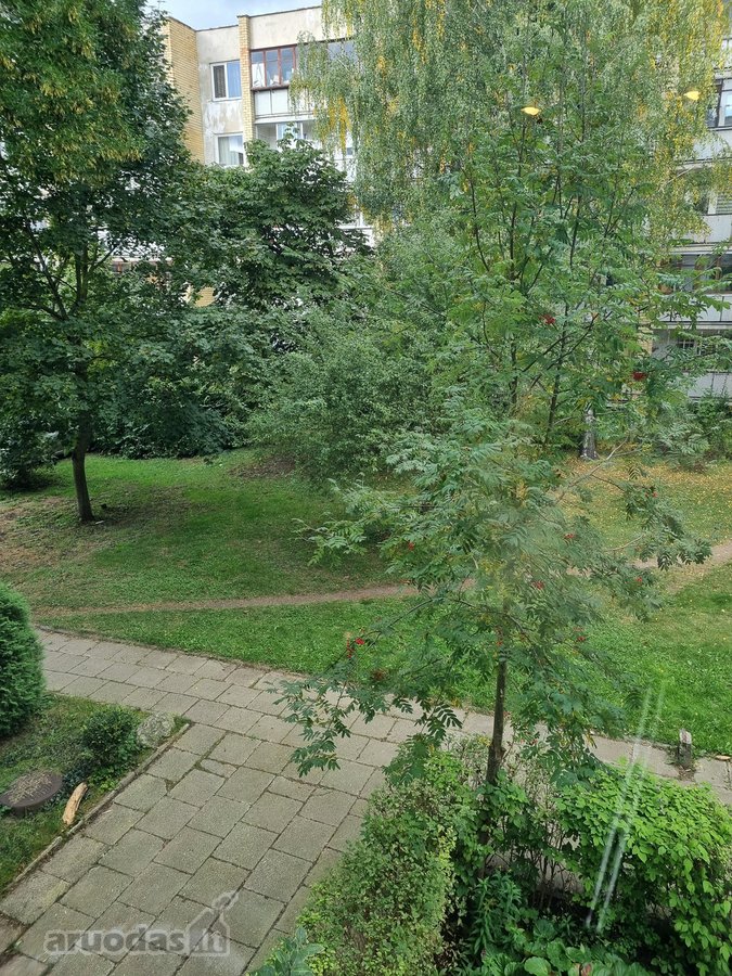 Šviesus ir šiltas, pilnai įrengtas butas su - nuotraukos Nr. 13