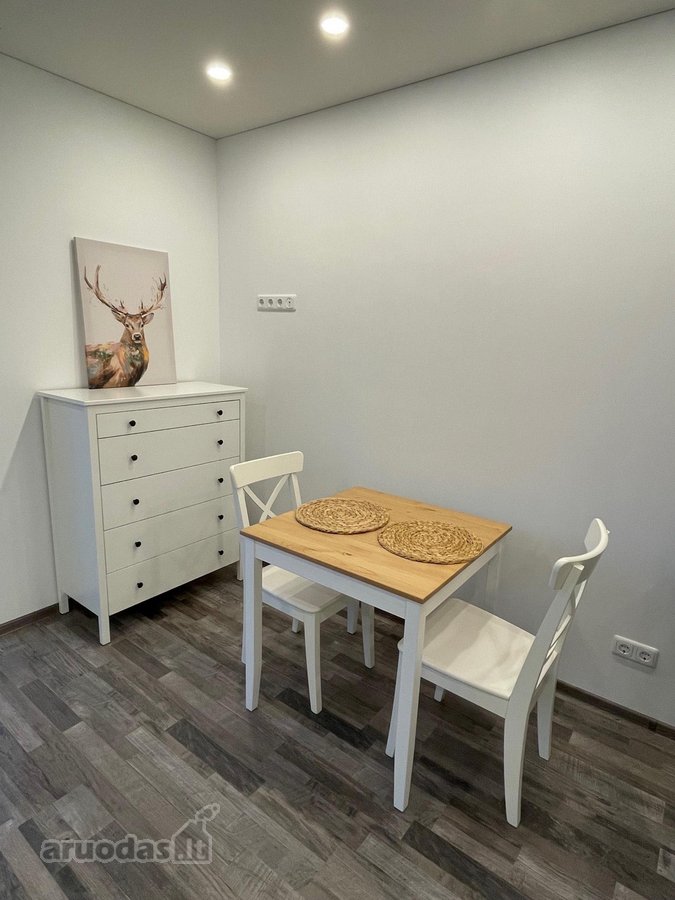 Išnuomojamas labai jaukus, moderniai įrengtas - nuotraukos Nr. 6