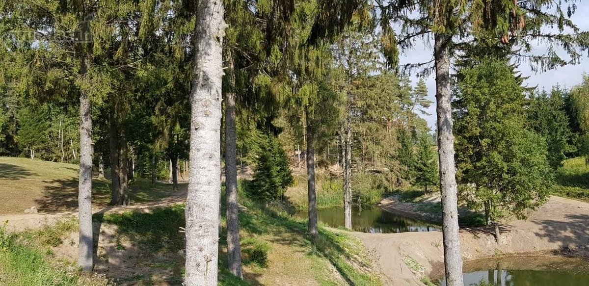 Parduodami sklypai. Ieškantiems geriausio ! - nuotraukos Nr. 17