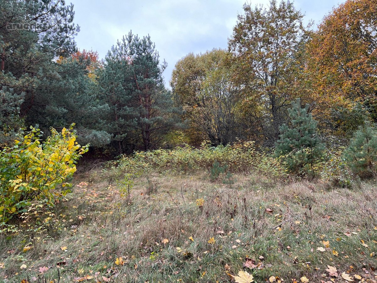 Parduodamas žemės sklypas su apleistais - nuotraukos Nr. 2