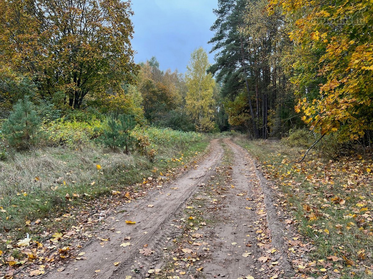 Parduodamas žemės sklypas su apleistais - nuotraukos Nr. 6