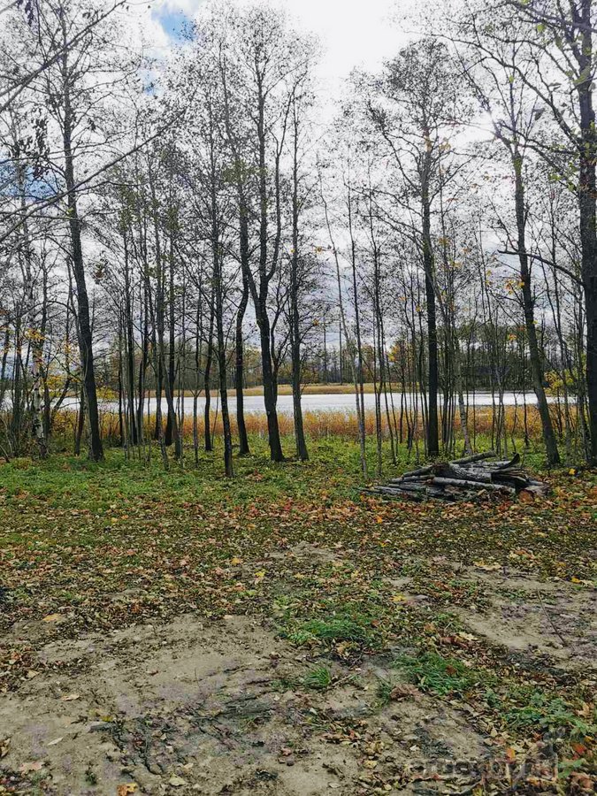 Parduodami Du Skkypai Šalia Durių Ežero - nuotraukos Nr. 4