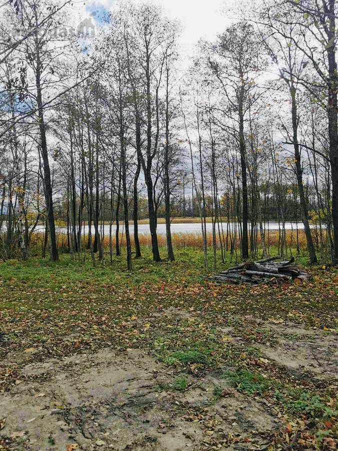 Du Rekreaciniai Sklypai Šalia Durių Ežero - nuotraukos Nr. 4