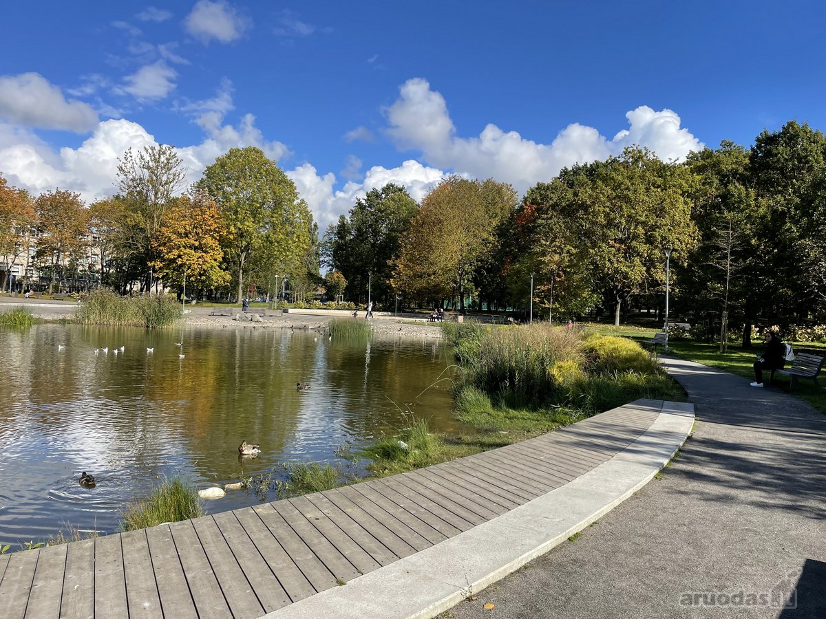 Klaipėdos centre šalia prekybos pasažo - nuotraukos Nr. 21
