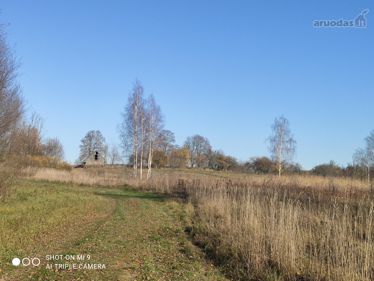 Netoli Platelių ežero vaizdingoje vietoje ant - nuotraukos Nr. 8