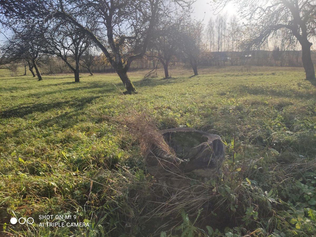 Netoli Platelių ežero vaizdingoje vietoje ant - nuotraukos Nr. 11