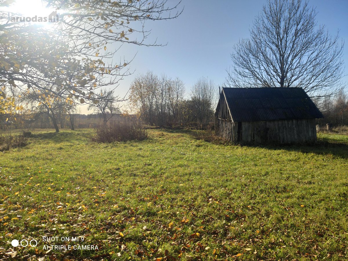 Netoli Platelių ežero vaizdingoje vietoje ant - nuotraukos Nr. 16