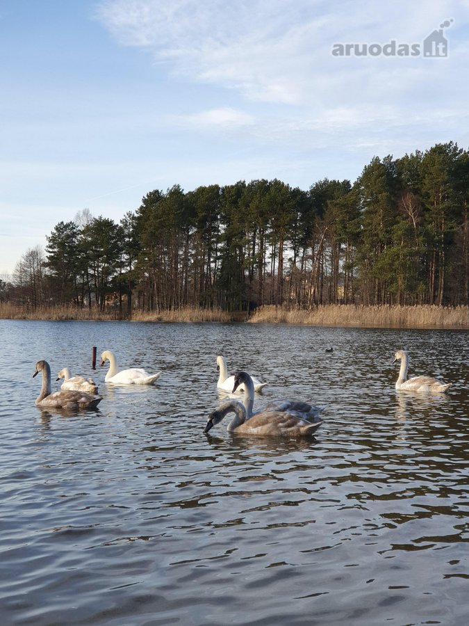 Butas ieškantiems tikrų namų. Šiame kvartale - nuotraukos Nr. 19