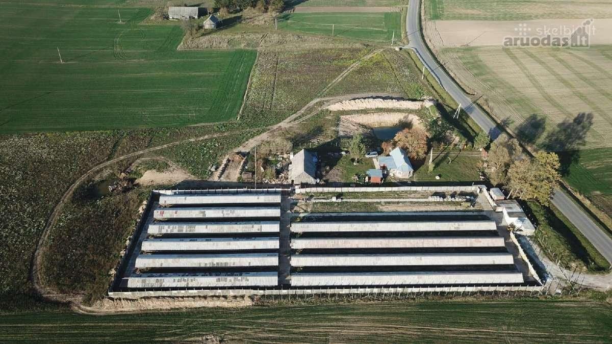 Namas apšildytas, naujas stogas, platikiniai - nuotraukos Nr. 10