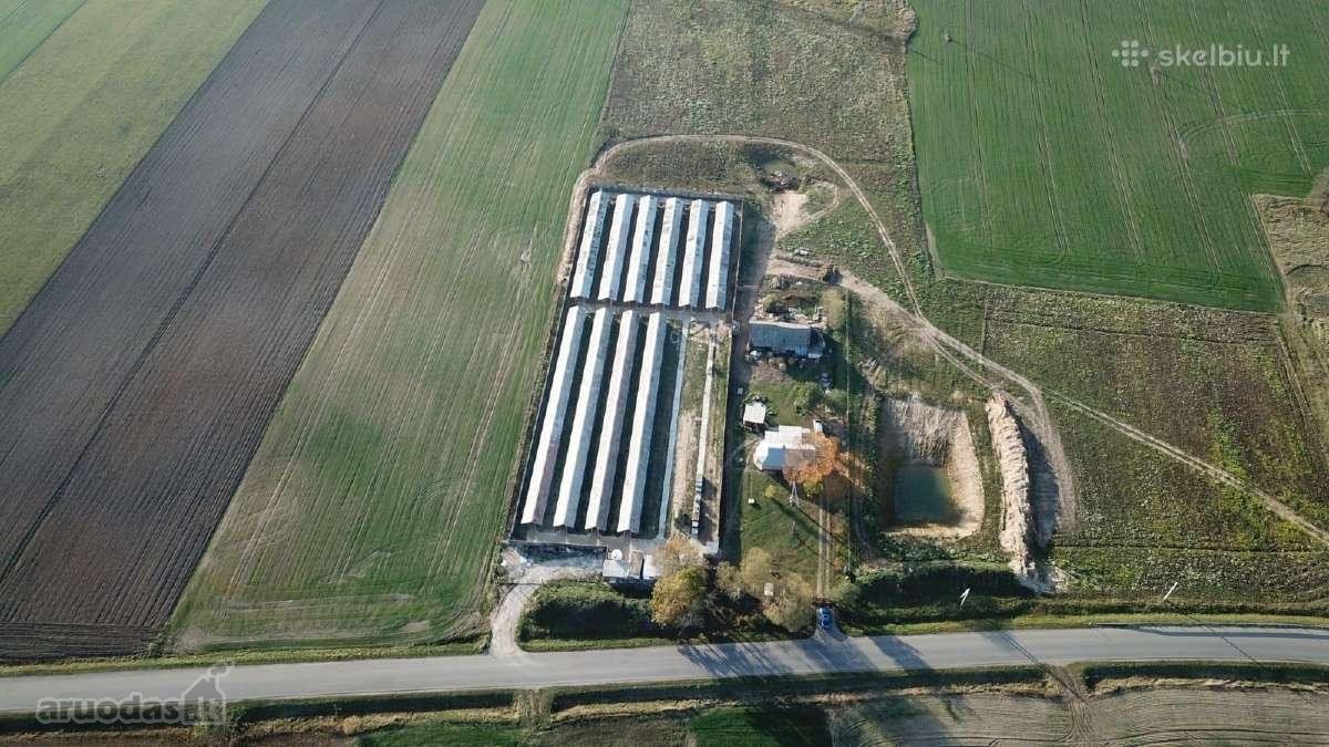 Namas apšildytas, naujas stogas, platikiniai - nuotraukos Nr. 11