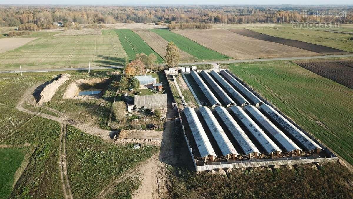 Namas apšildytas, naujas stogas, platikiniai - nuotraukos Nr. 12