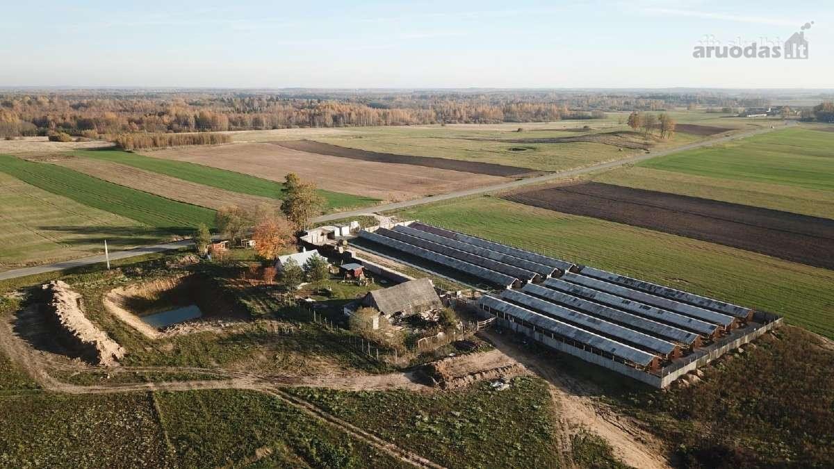 Namas apšildytas, naujas stogas, platikiniai - nuotraukos Nr. 13