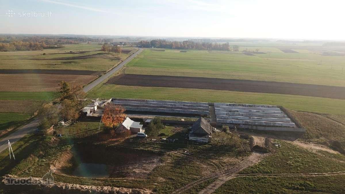 Namas apšildytas, naujas stogas, platikiniai - nuotraukos Nr. 14