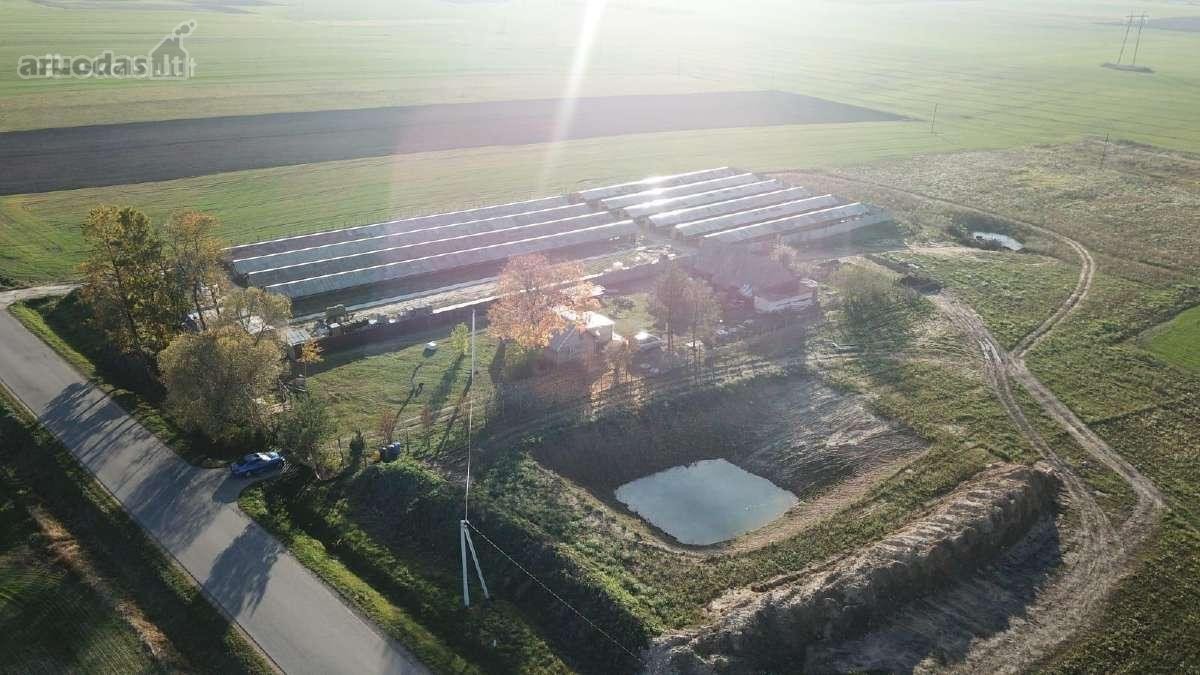 Namas apšildytas, naujas stogas, platikiniai - nuotraukos Nr. 15