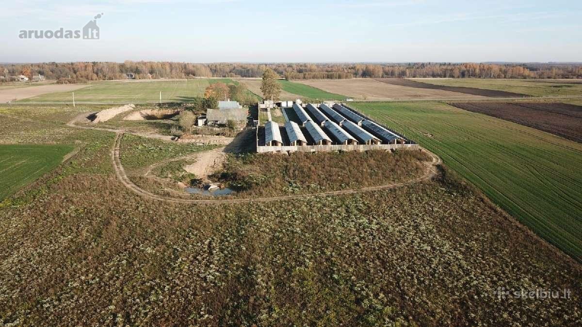 Namas apšildytas, naujas stogas, platikiniai - nuotraukos Nr. 16