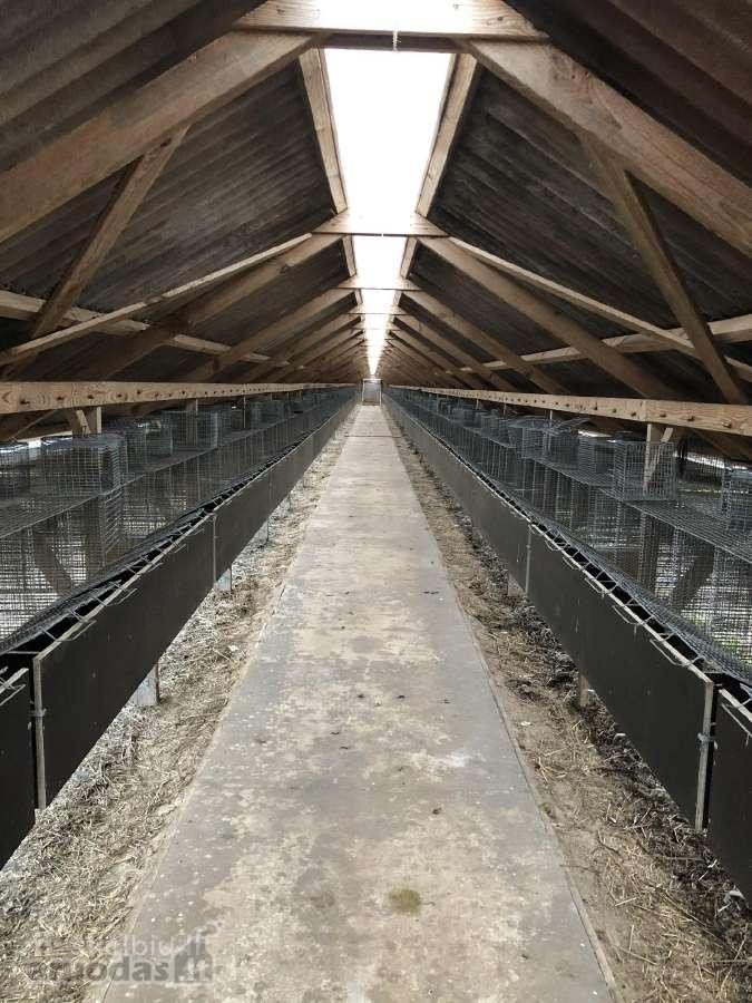 Namas apšildytas, naujas stogas, platikiniai - nuotraukos Nr. 20
