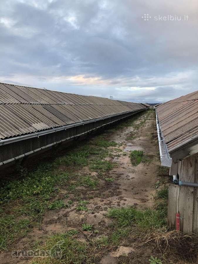 Namas apšildytas, naujas stogas, platikiniai - nuotraukos Nr. 21