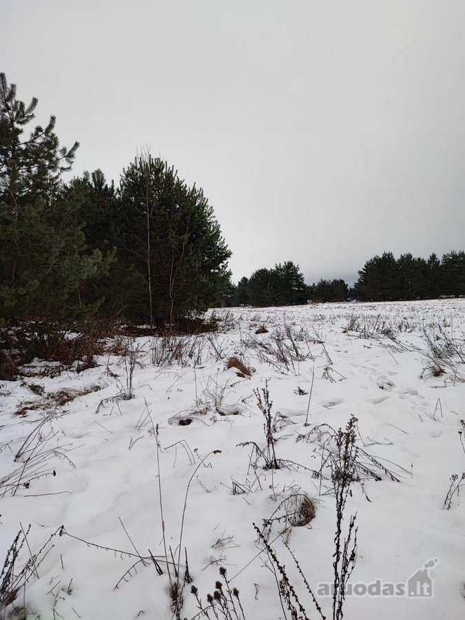 Parduodamas 1,2079 ha žemės ūkio paskirties - nuotraukos Nr. 19