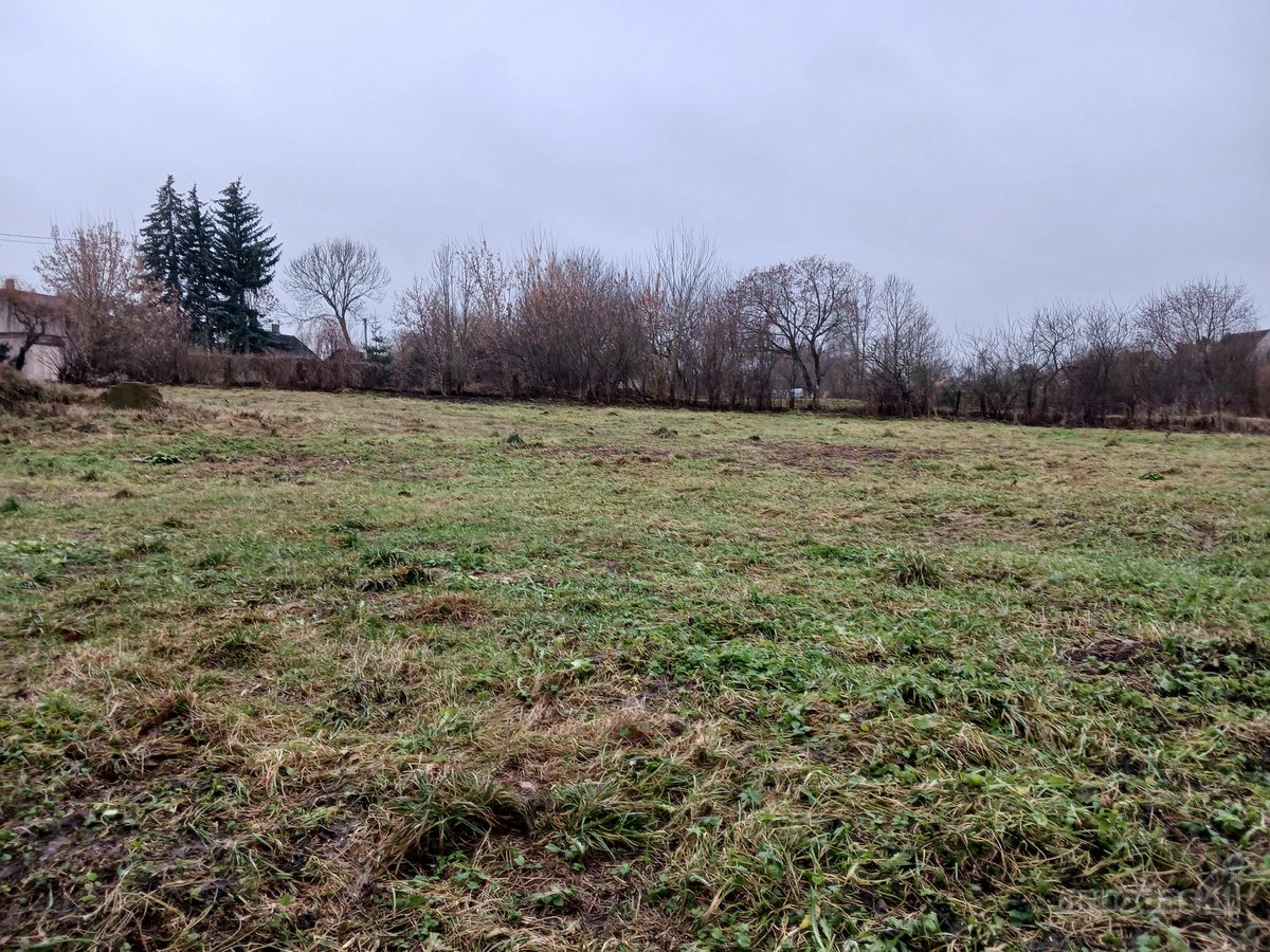 Parduodamas sklypas- namų valda, dydis 30arų - nuotraukos Nr. 2