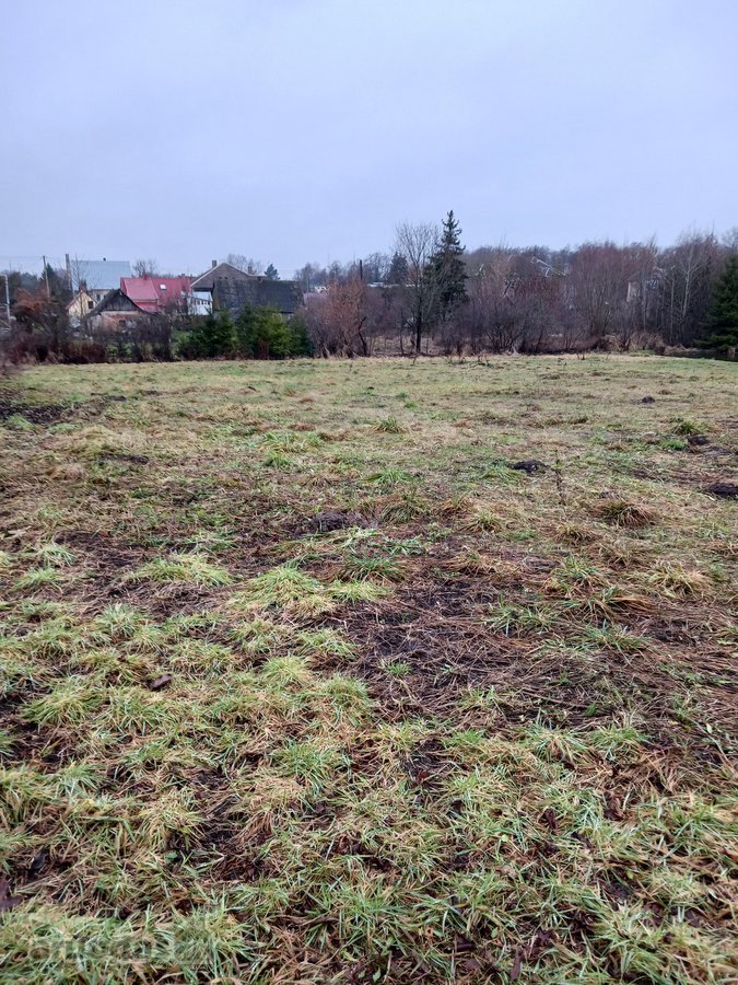 Parduodamas sklypas- namų valda, dydis 30arų - nuotraukos Nr. 4