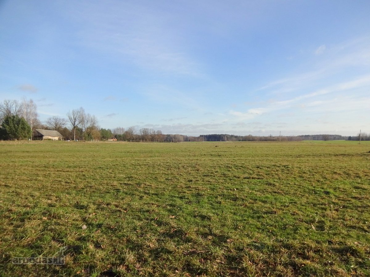Parduodamas 2,66ha žemės ūkio paskirties - nuotraukos Nr. 8