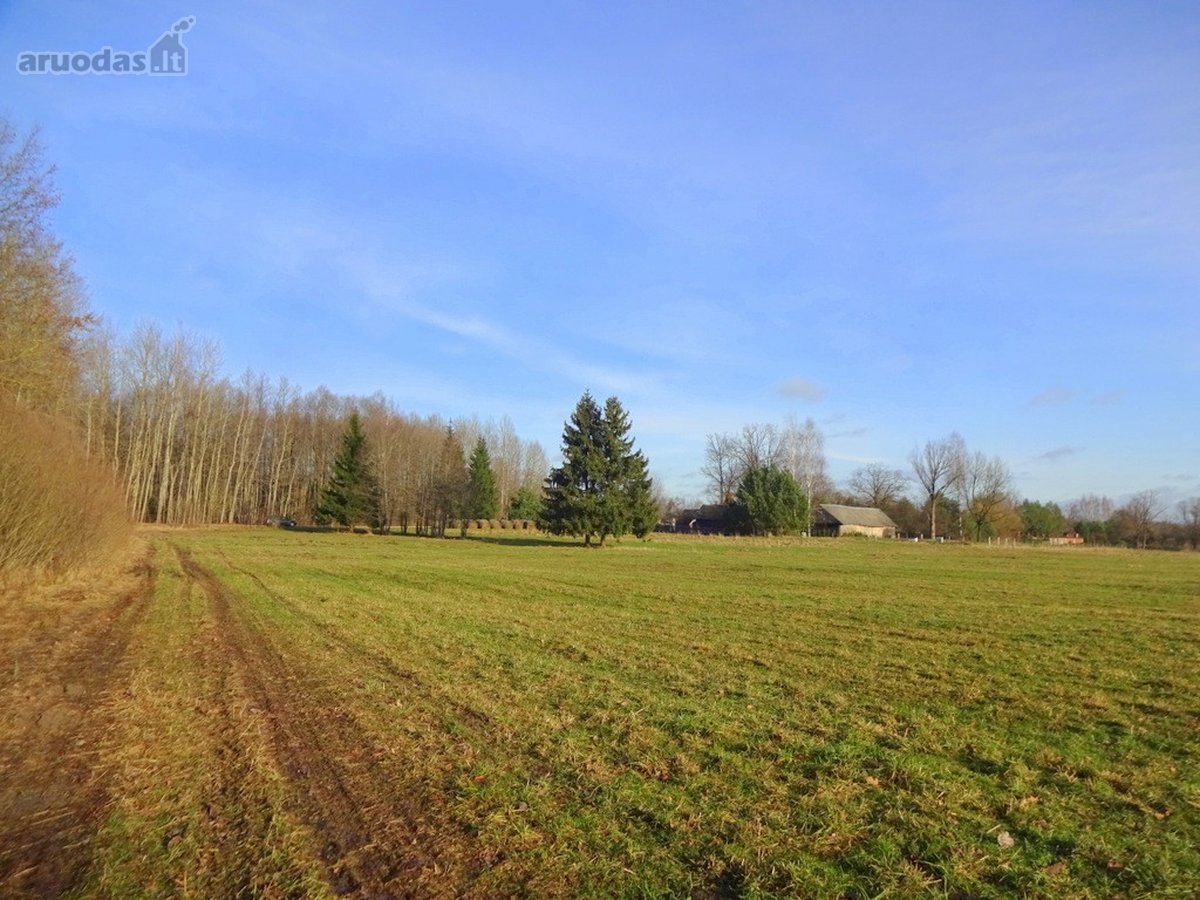 Parduodamas 2,66ha žemės ūkio paskirties - nuotraukos Nr. 3