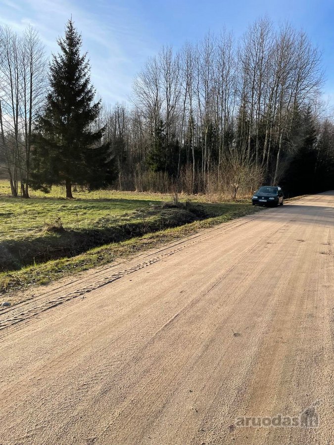 Parduodamas 2,66ha žemės ūkio paskirties - nuotraukos Nr. 23