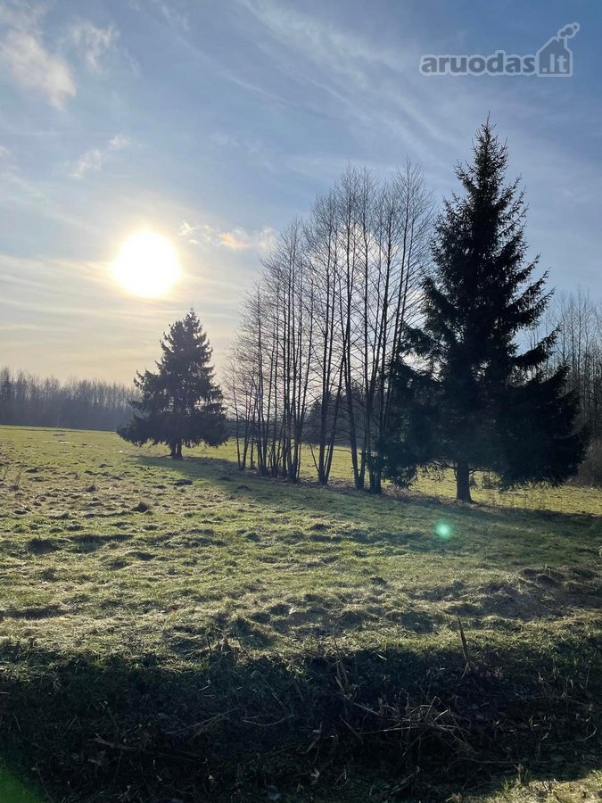 Parduodamas 2,66ha žemės ūkio paskirties - nuotraukos Nr. 6