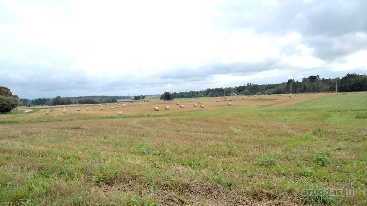 Parduodamas 2,66ha žemės ūkio paskirties - nuotraukos Nr. 10