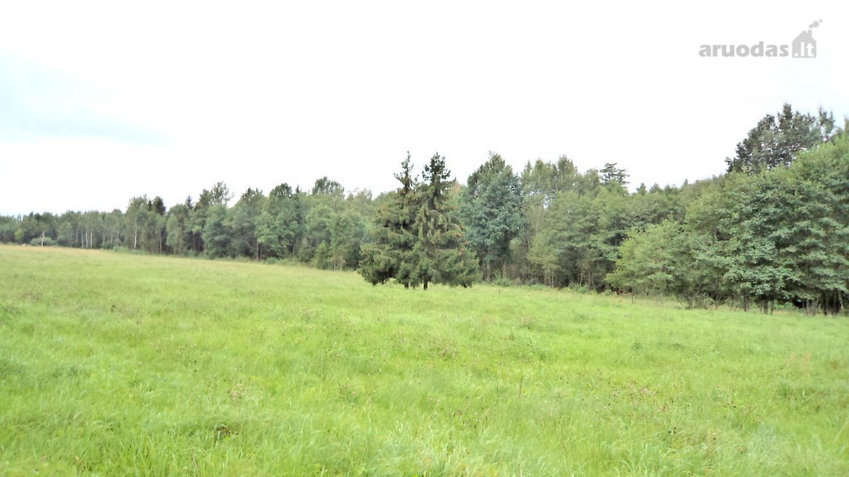 Parduodamas 2,66ha žemės ūkio paskirties - nuotraukos Nr. 20