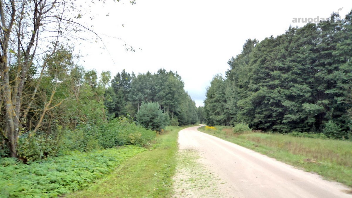 Parduodamas 2,66ha žemės ūkio paskirties - nuotraukos Nr. 19