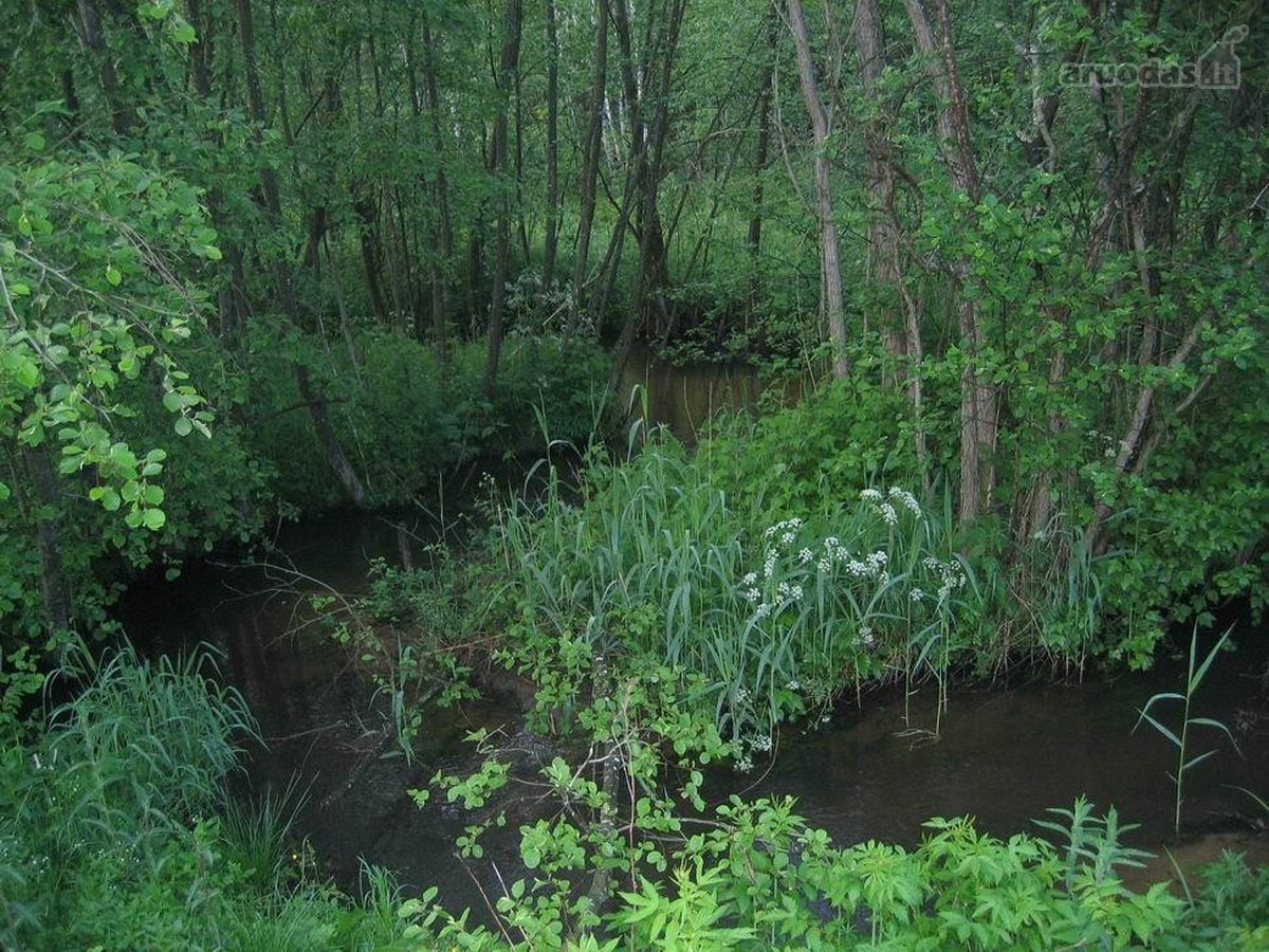 Parduodami du sklypai, 1 ha + 2 ha viso 3ha.
