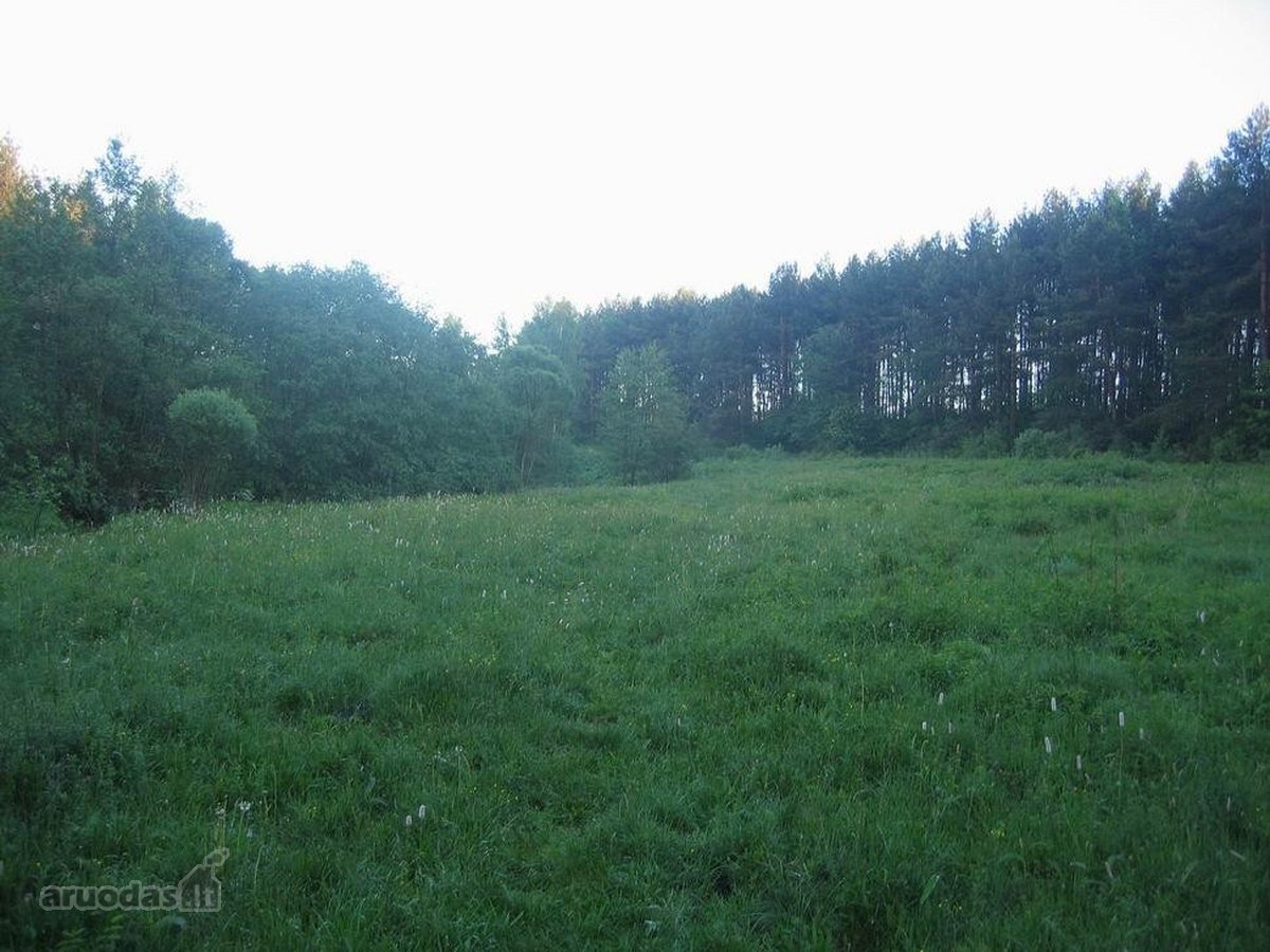 Parduodami du sklypai, 1 ha + 2 ha viso 3ha. - nuotraukos Nr. 2