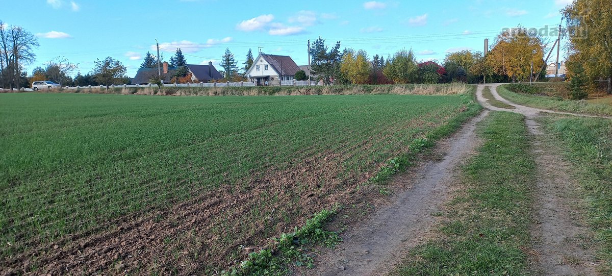 Parduodamas sklypas - nuotraukos Nr. 8