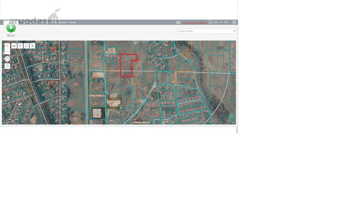 Didieji Gulbinai sparčiai besivystantis - nuotraukos Nr. 13